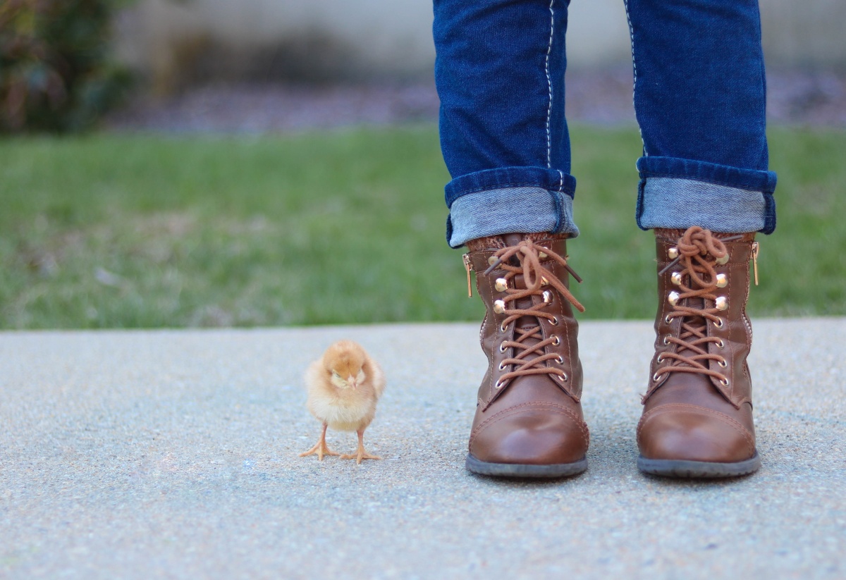 Photo by Meg Kannan on Unsplash