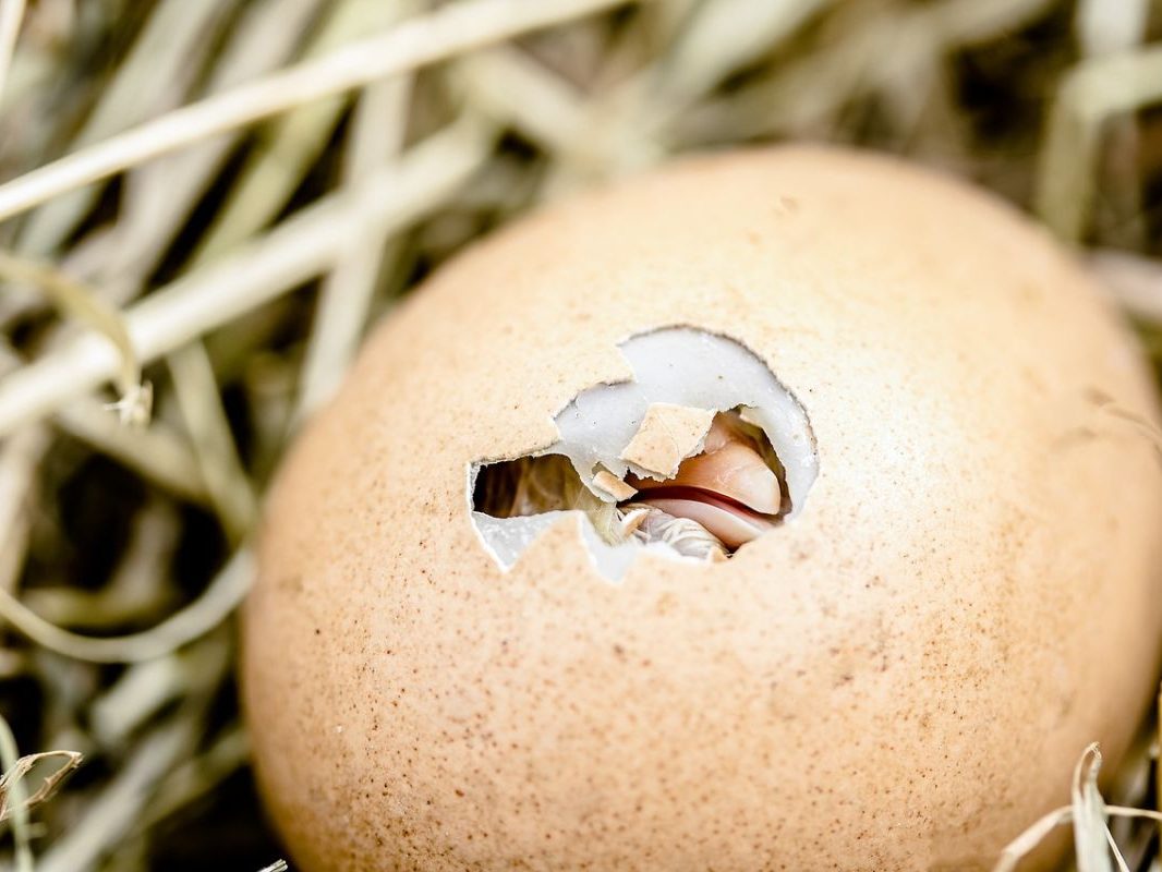 Image by Meine Reise geht hier leider zu Ende. Märchen beginnen mit from Pixabay